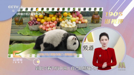 张津瑜事件